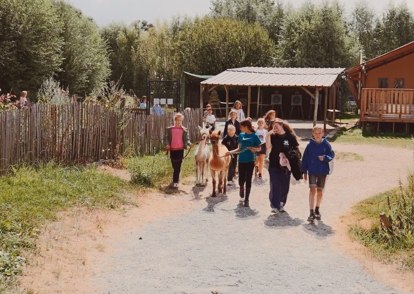 Alpacawandeling 🦙